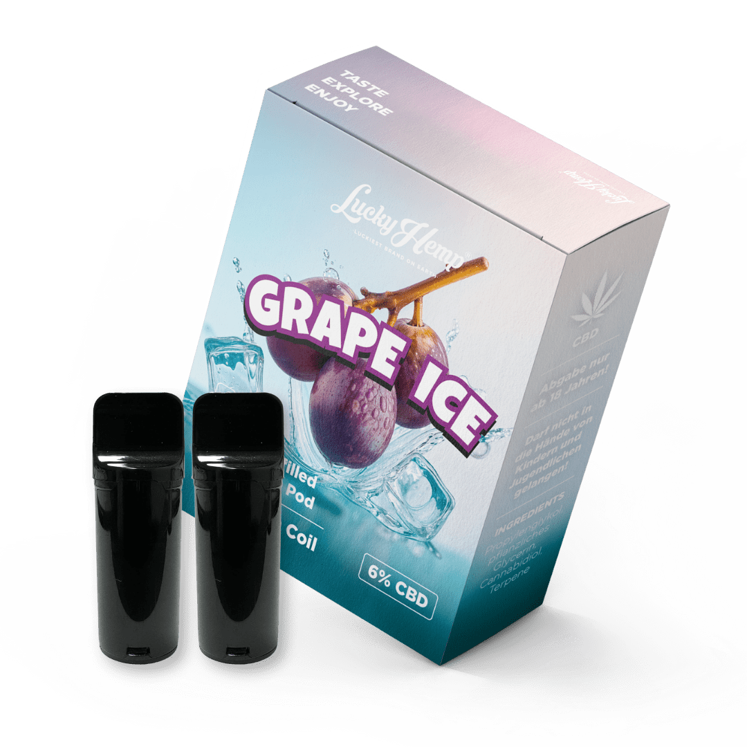 2x Pods Grape Ice Vapes - Hanfify®
