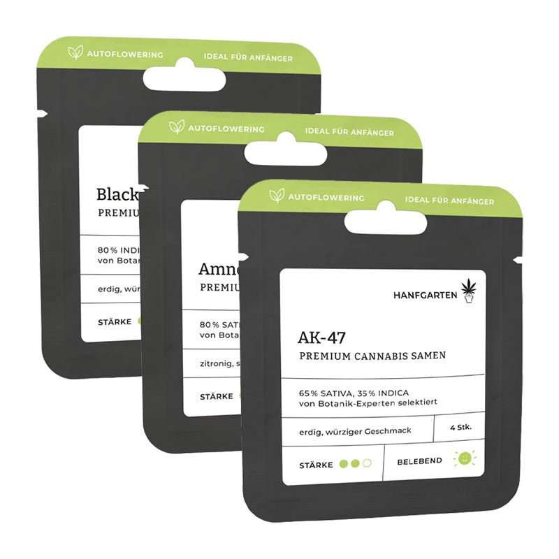 Bestseller Samen 3er - Set | Autoflowering Cannabissamen - Hanfify