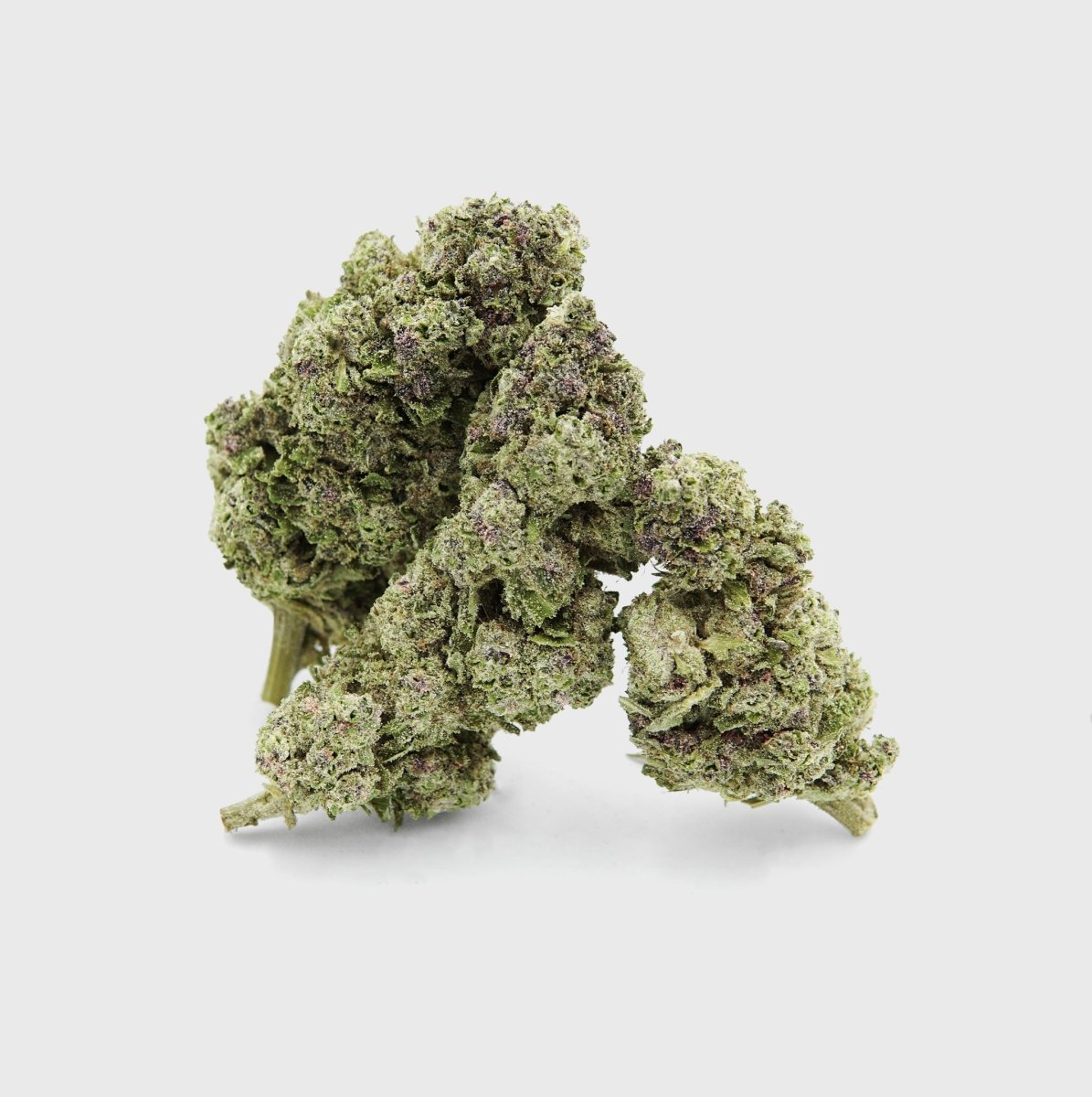 🌊🍣 Blue Zushi Extreme Blüten 5g - Hanfify®