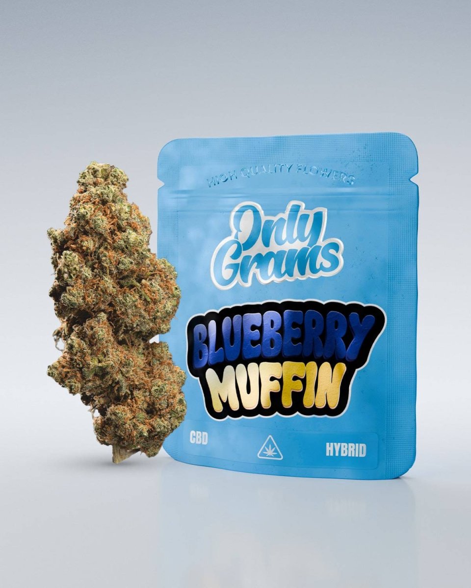 Blueberry Muffin - CBD Blüte 13% Blüten - Hanfify