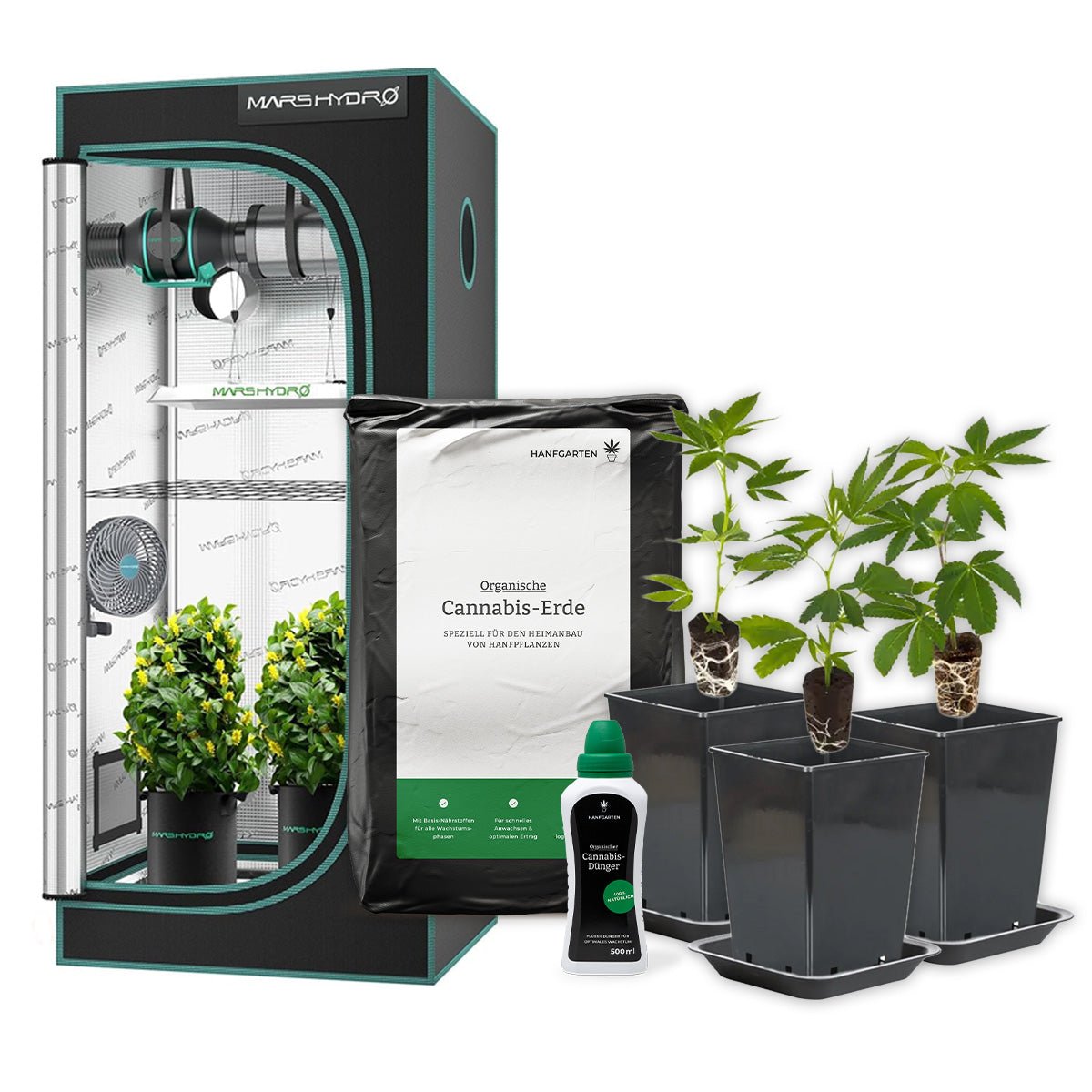 Indoor - Anbau Rundum Sorglos Paket Hanfpflanzen - Hanfify
