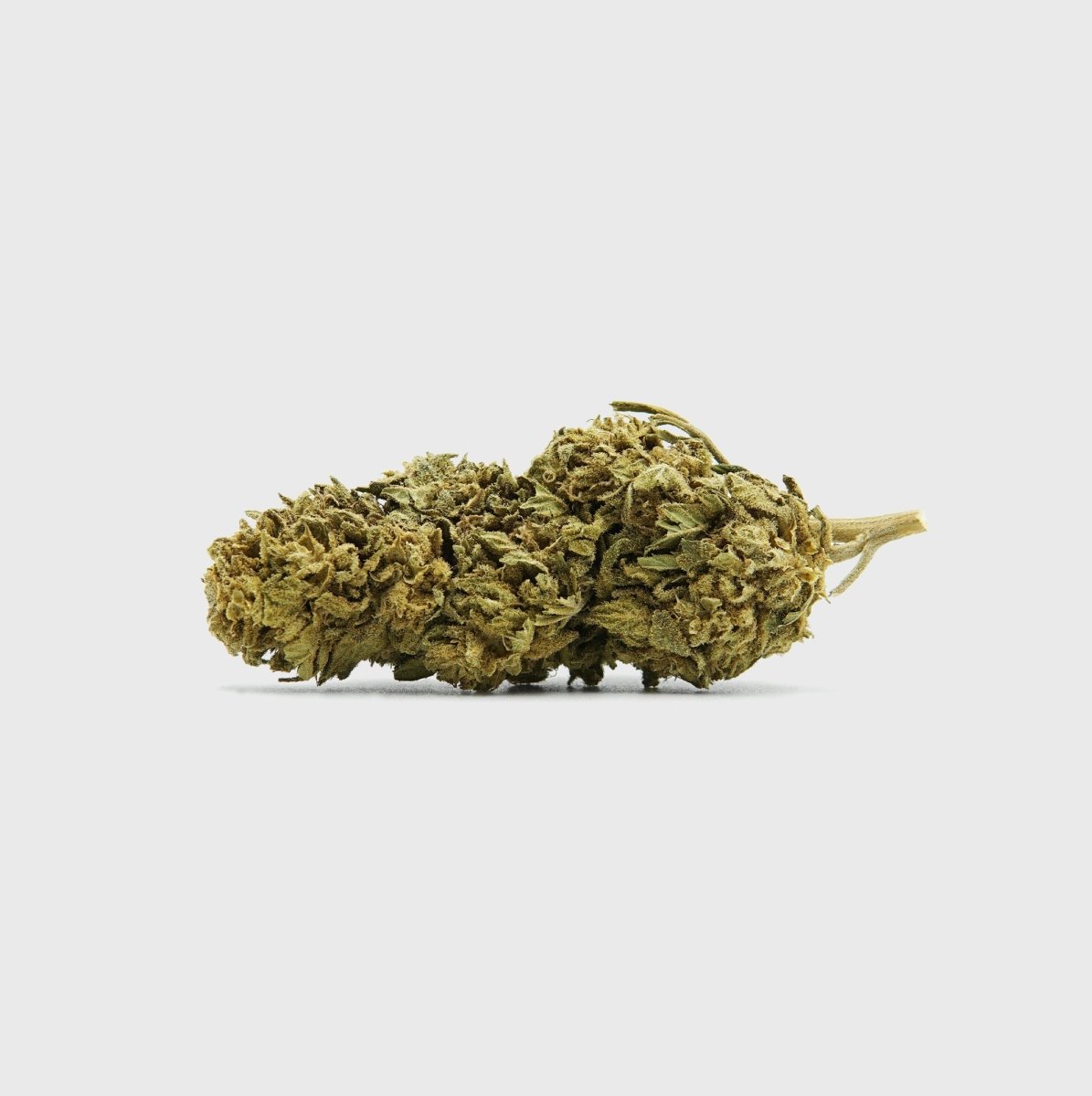 🌌 Northern Lights 2 5% CBD Blüten 5g Baggie - Hanfify®
