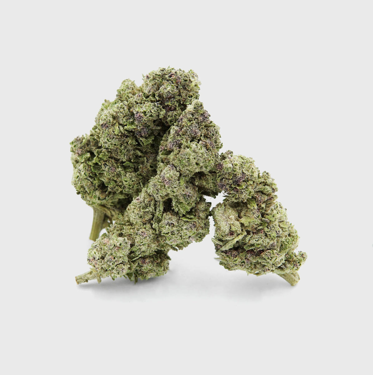 💜 Purple Dash 17% Cali CBG Blüten 3g Dose - Hanfify®