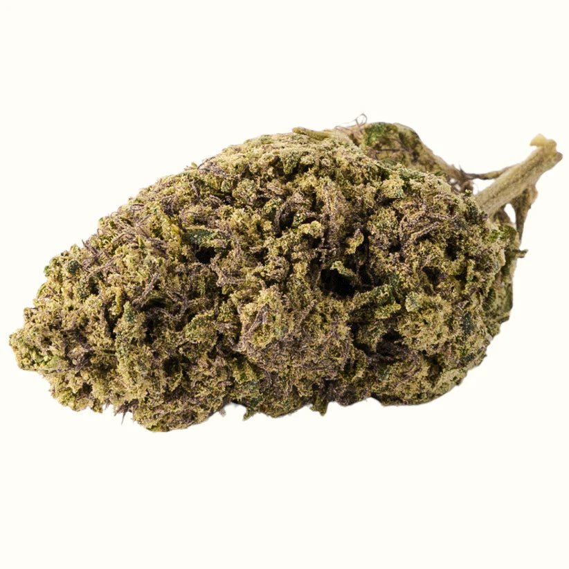 SILVER HAZE x 10 - HC 20% Blüten 3G - Hanfify