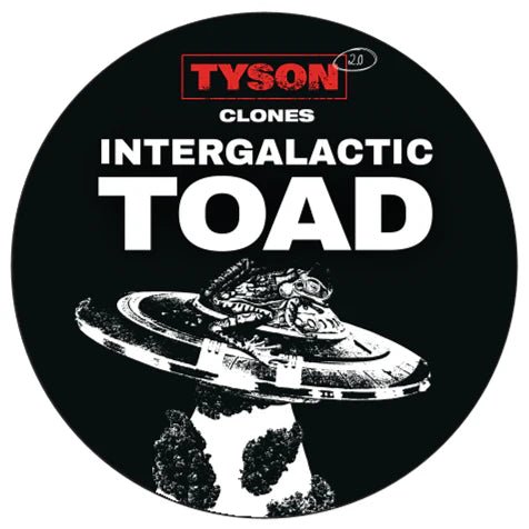 Tyson 2.0 Steckling - Intergalactic Toad Hanfpflanzen 1 Steckling - Hanfify®