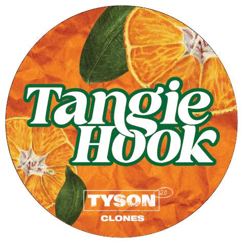 Tyson 2.0 - Tangie Hook Hanfpflanzen 1 Steckling - Hanfify®