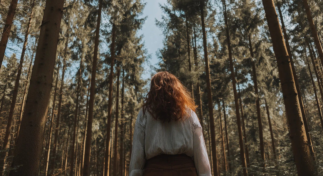 CBD Öl richtig dosieren: Der Hanfify CBD-Rechner zeigt dir wie - Hanfify