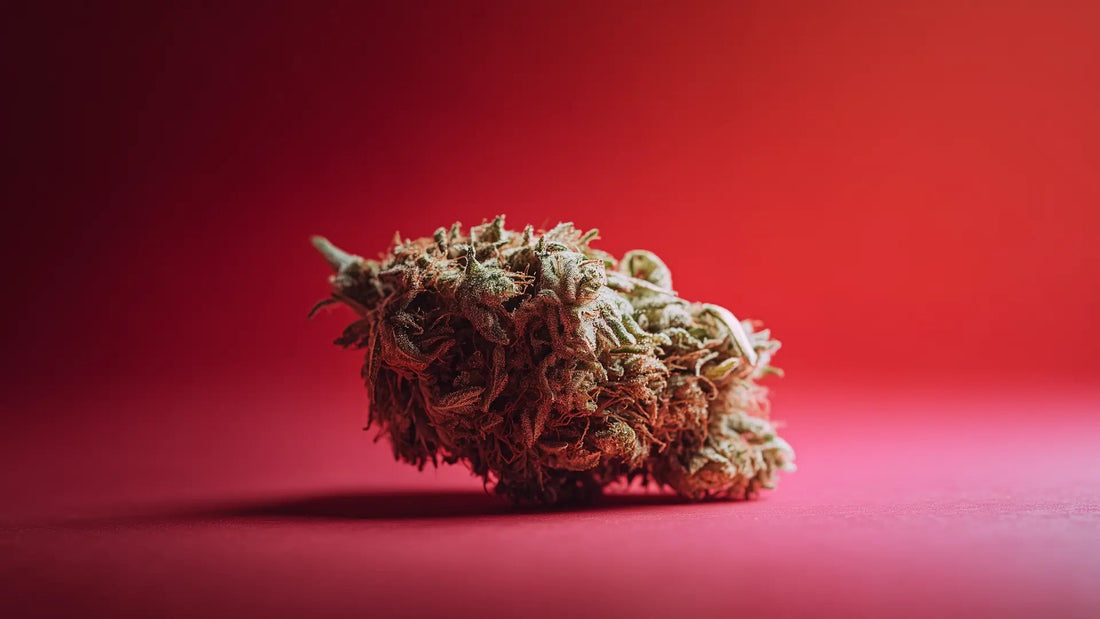 Gibt es eine Cannabis Überdosis? - Hanfify