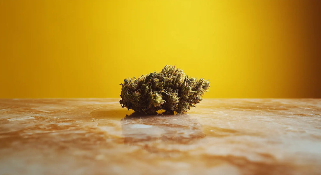 HHC und Gehirn: Die Folgen von HHC-Konsum - Hanfify