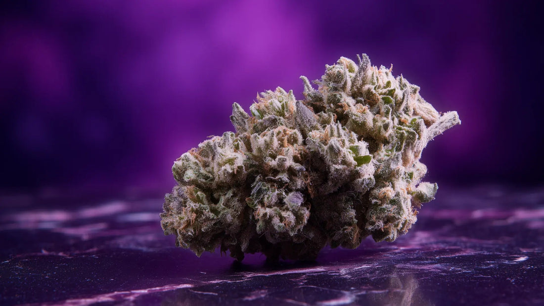 Jibitt: Joint mit Cannabis - Hanfify