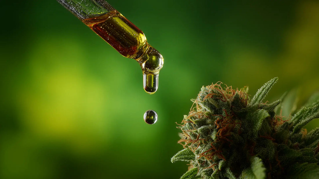 Kann man CBD Öl in einem Joint rauchen? - Hanfify