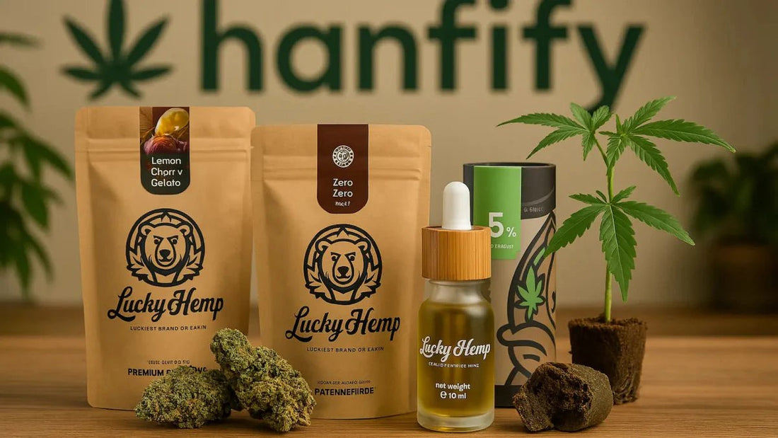 Lucky Hemp im Test: Unsere Erfahrungen mit dem beliebten CBD-Shop - Hanfify