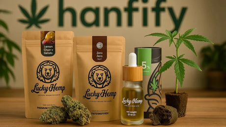 Lucky Hemp im Test: Unsere Erfahrungen mit dem beliebten CBD-Shop - Hanfify