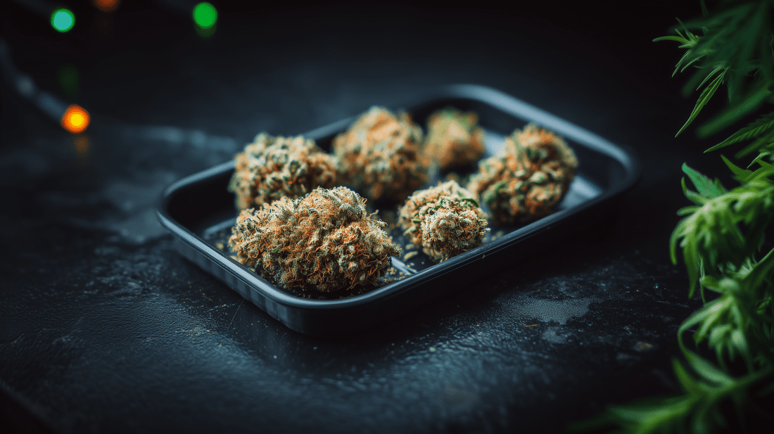 Qualität erkennen: Was macht gute Cannabisblüten aus? - Hanfify