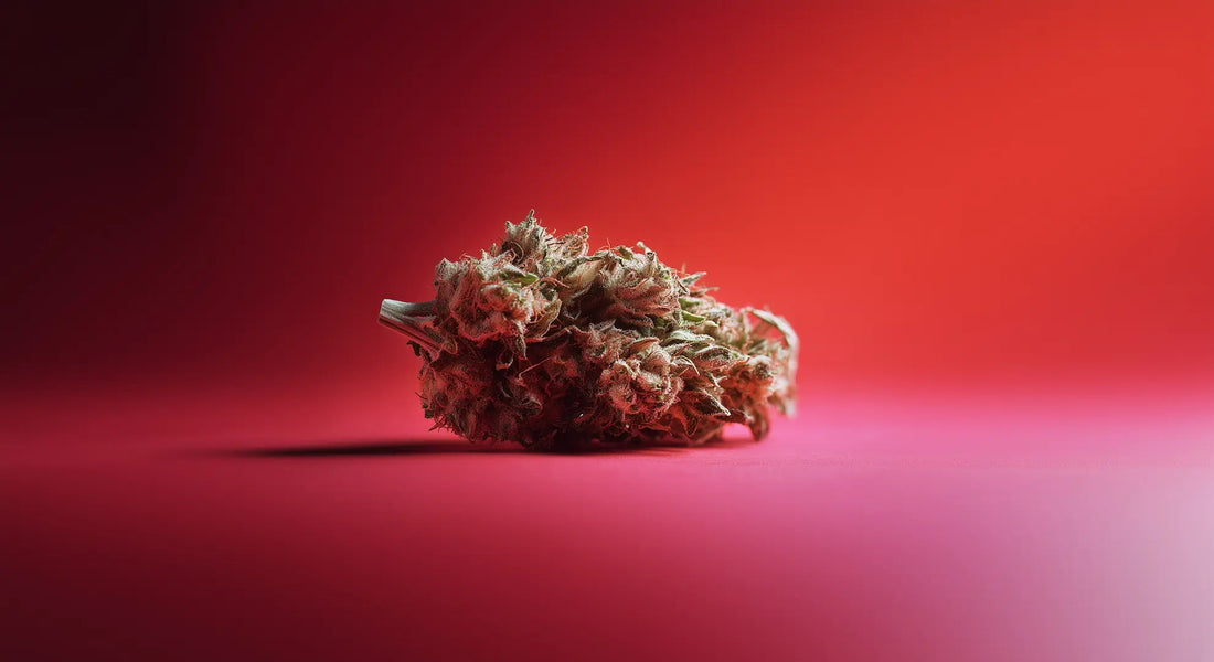 THCP und Gehirn: Die Folgen von THCP-Konsum - Hanfify