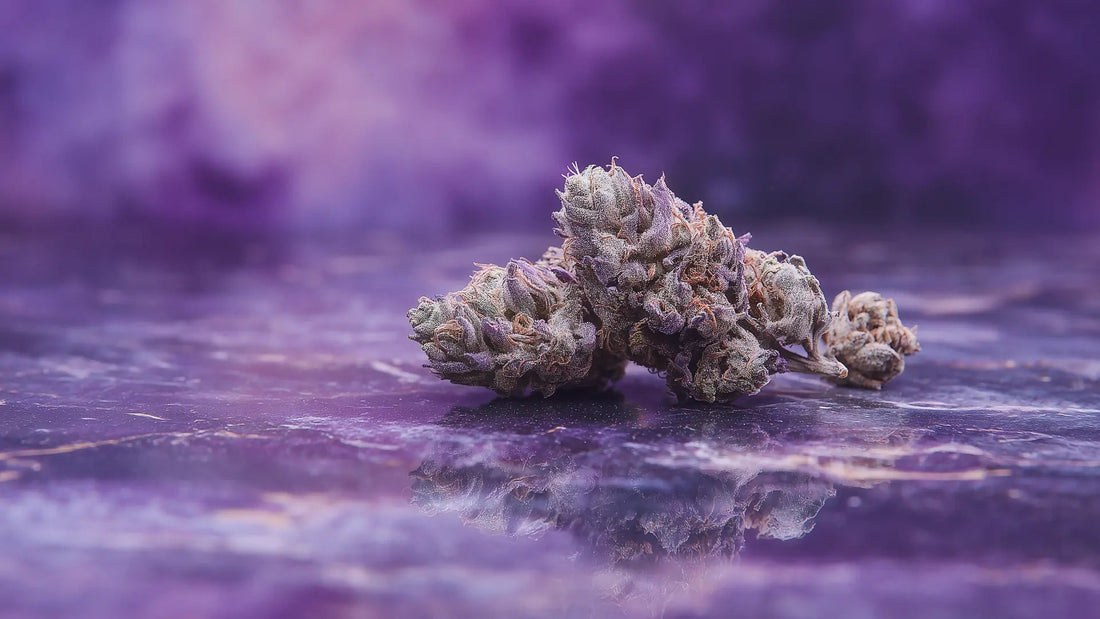 Was ist der Unterschied zwischen Joint, Spliff und Blunt? - Hanfify