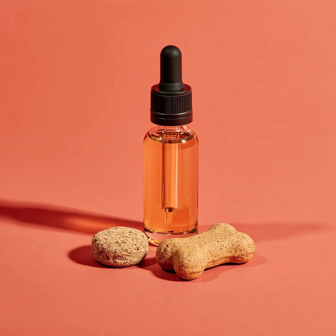 CBD für Tiere - Hanfify®