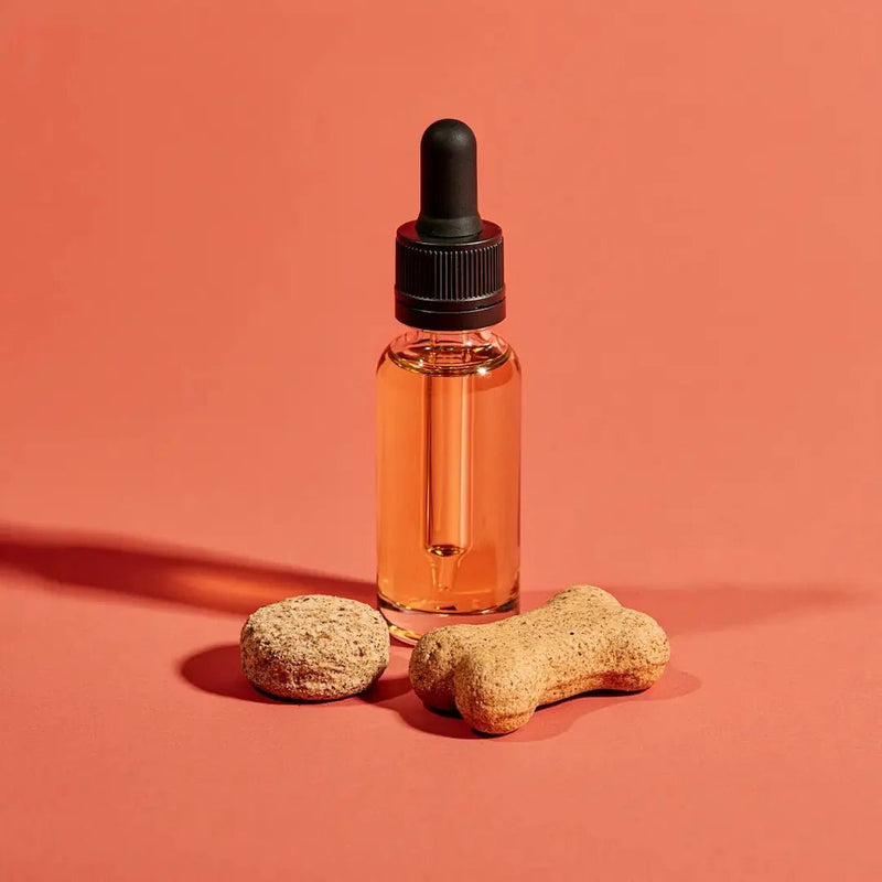 CBD für Tiere - Hanfify®