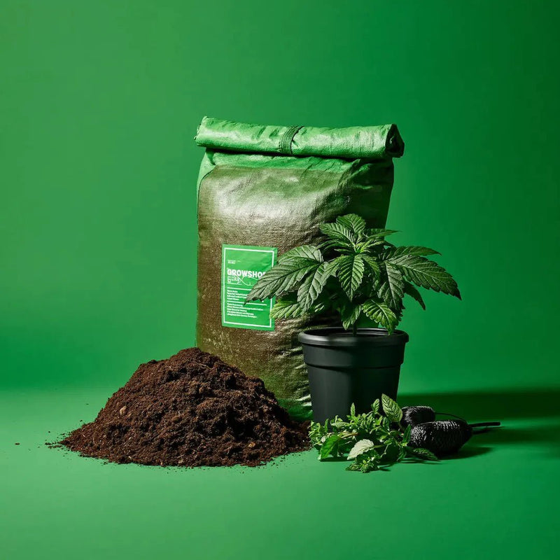 Growshop - Hanfify®