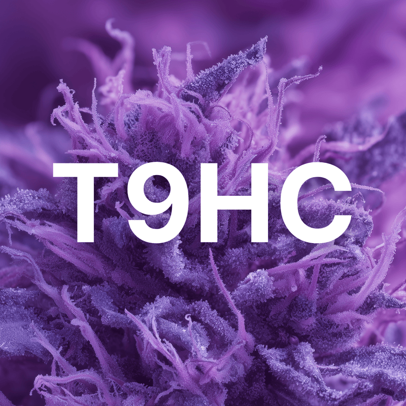 T9HC - Hanfify®