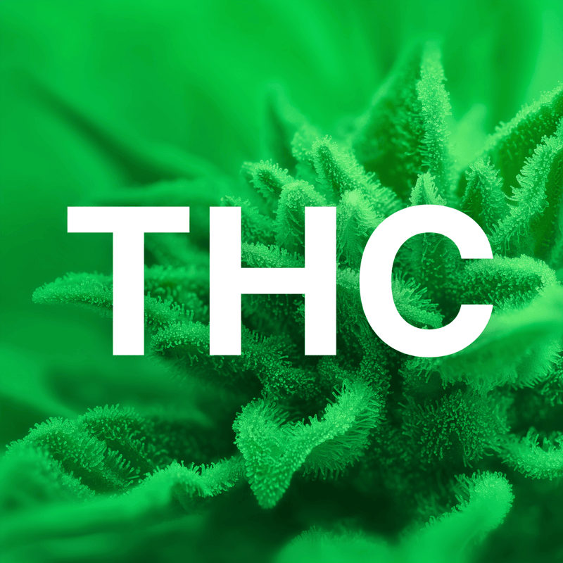THC - Hanfify®