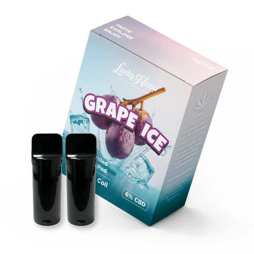 2x Pods Grape Ice - Vapes - Hanfify®