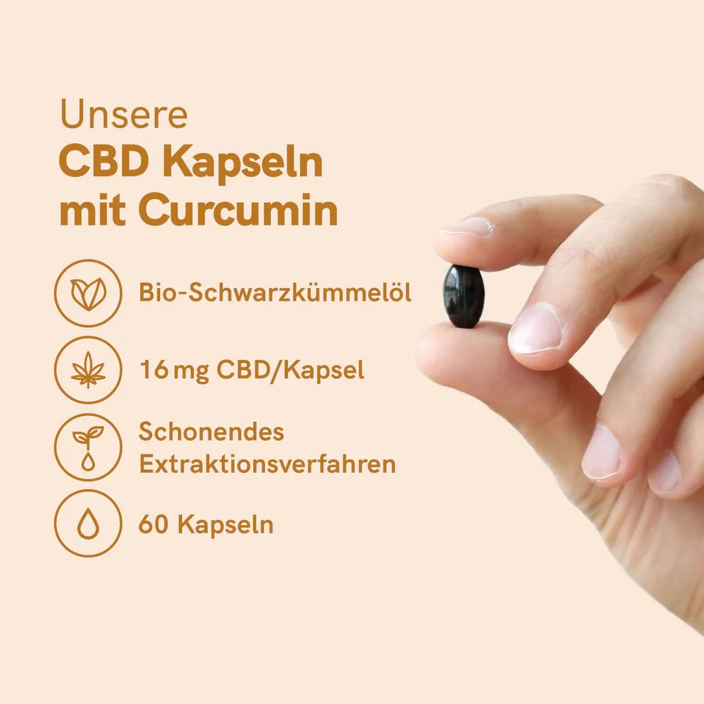 3FÜR2: CBD Kapseln (960mg) mit Curcumin Edibles - Hanfify