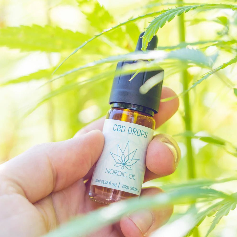 3FÜR2: CBD Öl Classic (20%) Öl - Hanfify