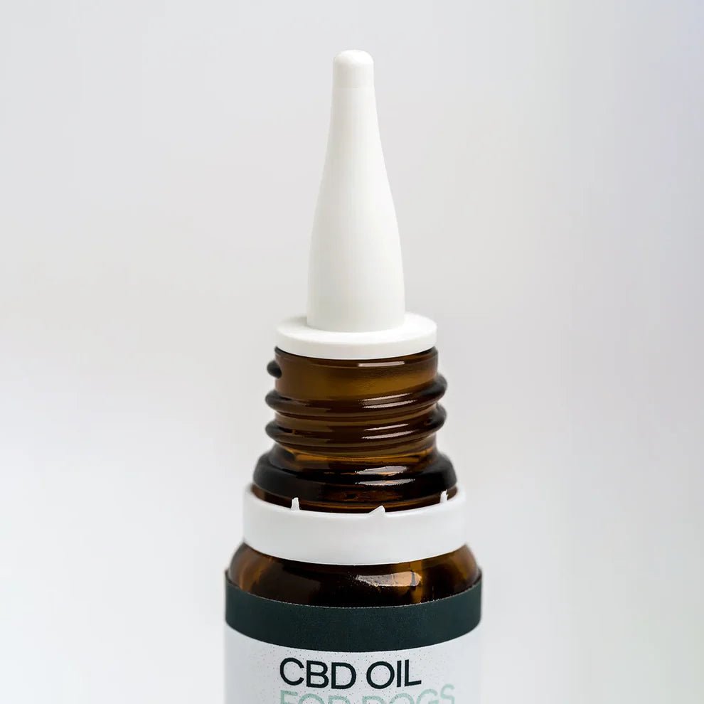 3FÜR2: CBD Öl für Hunde - Rind (4%) CBD für Tiere - Hanfify