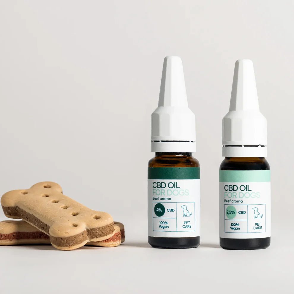 3FÜR2: CBD Öl für Hunde - Rind (4%) CBD für Tiere - Hanfify