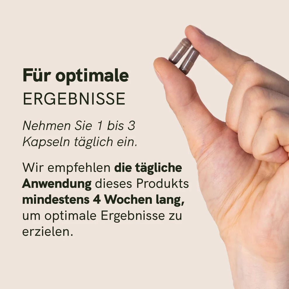 3FÜR2: Shilajit Kapseln Supplements - Hanfify