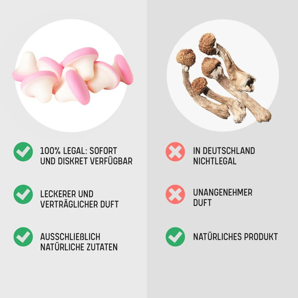 🍄 4 - Pro - Met Mushroom Gummis Smartshop 10 Stück - Hanfify