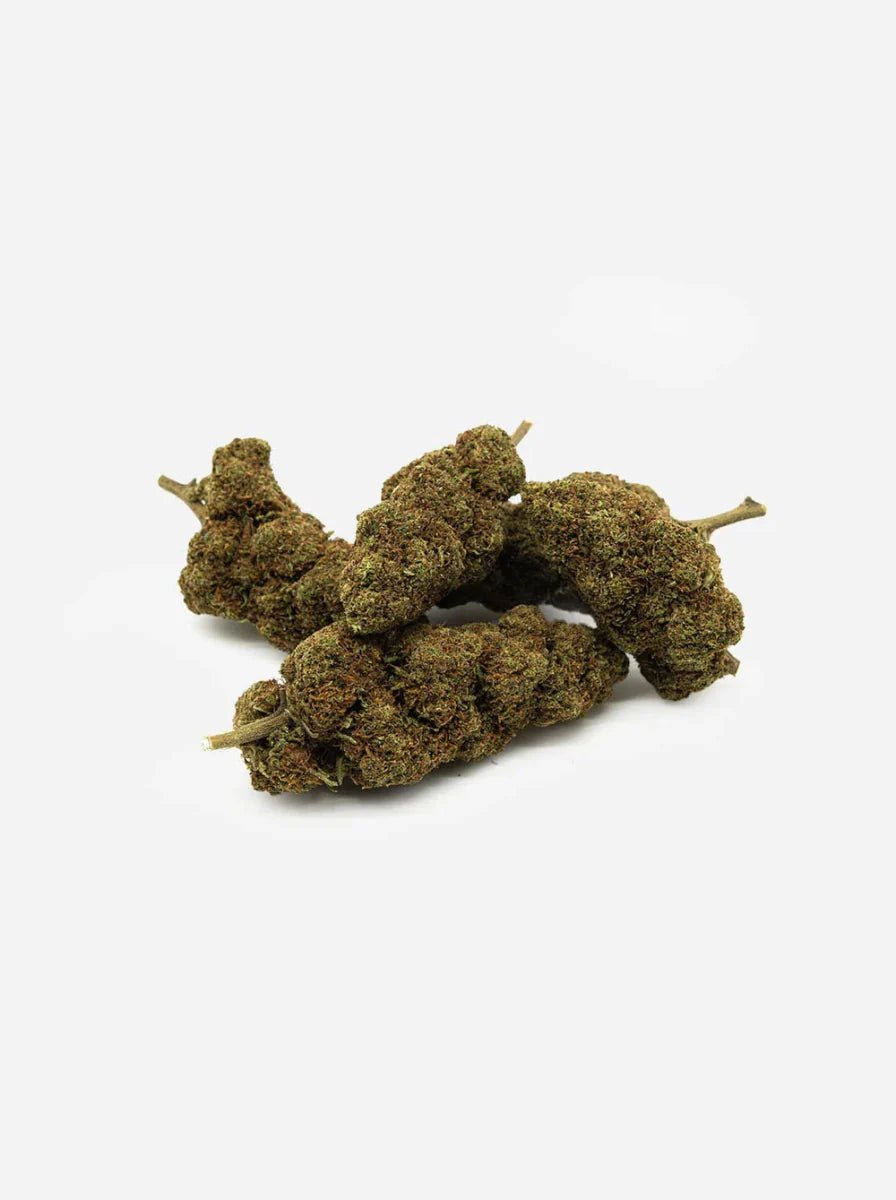 AK47 Harlequin - CBD Blüte - Blüten - Hanfify®