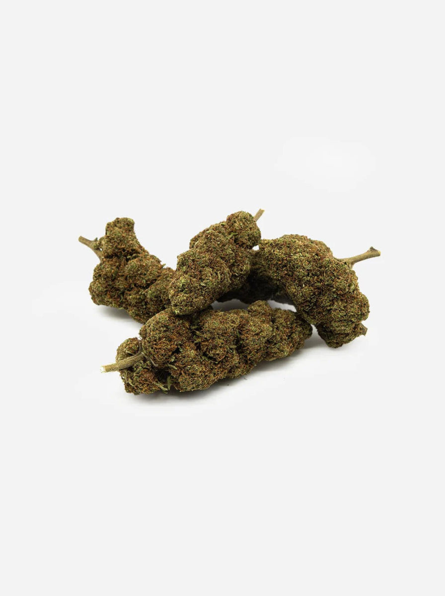 AK47 Harlequin - CBD Blüte Blüten - Hanfify