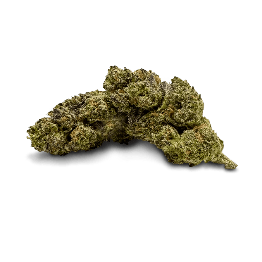 Alien OG - Blüten - Hanfify®