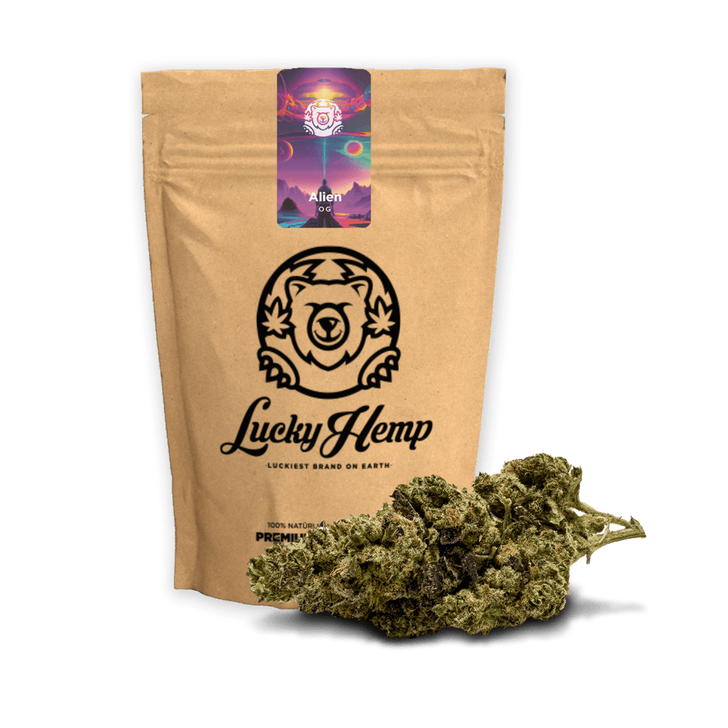 Alien OG - Blüten - Hanfify®