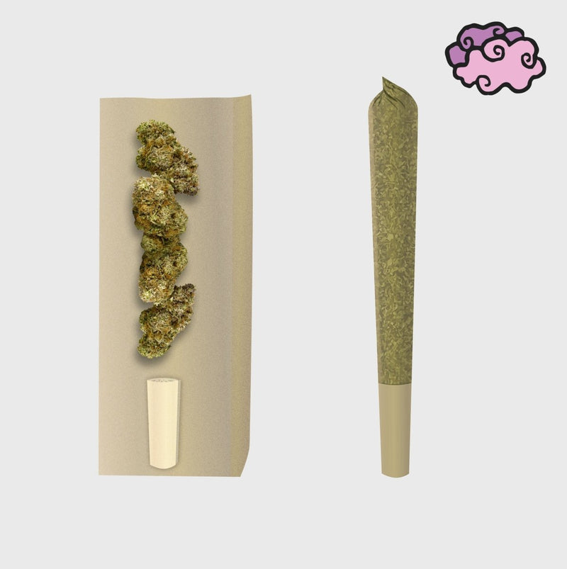 Amnesia 10HC Prerolls - Power LVL 4/5 Joints 3er Pack - Hanfify®