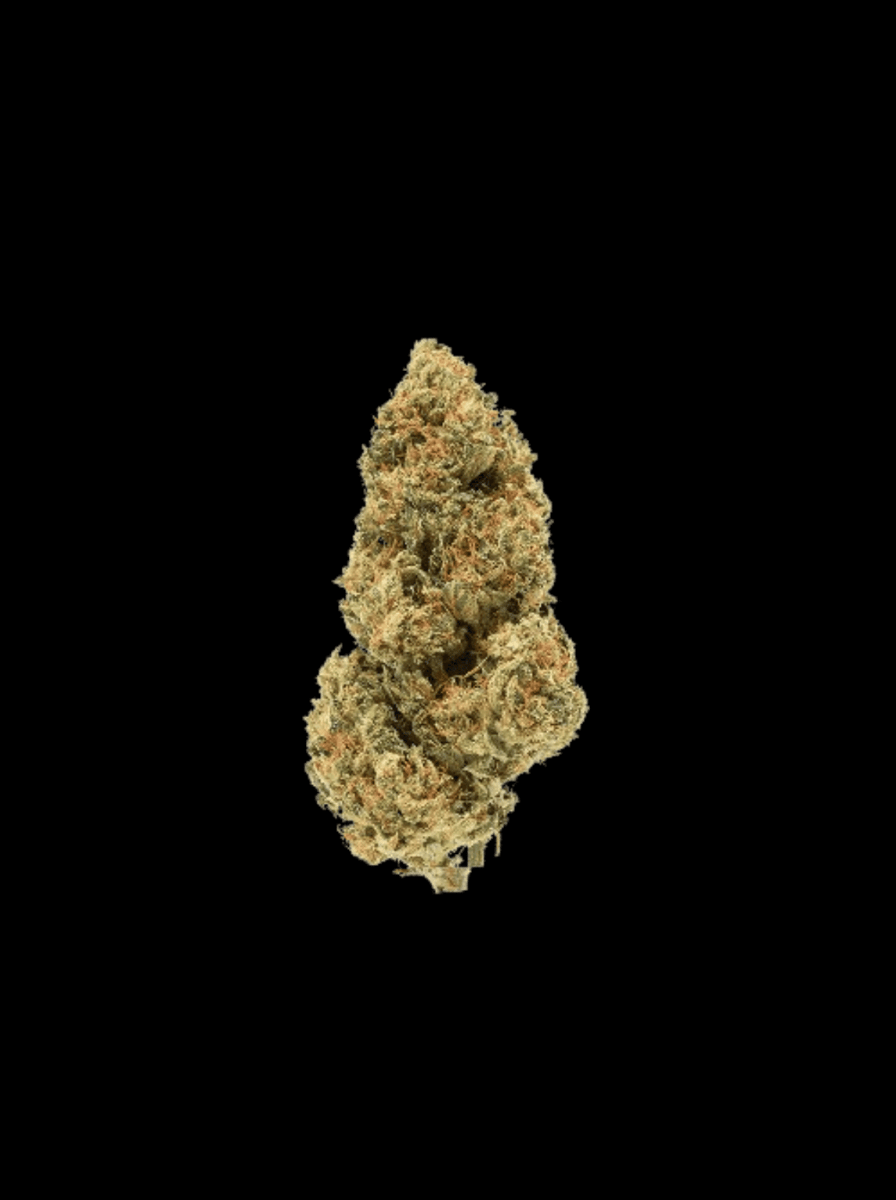 Amnesia Core Cut Hanfpflanzen - Hanfify