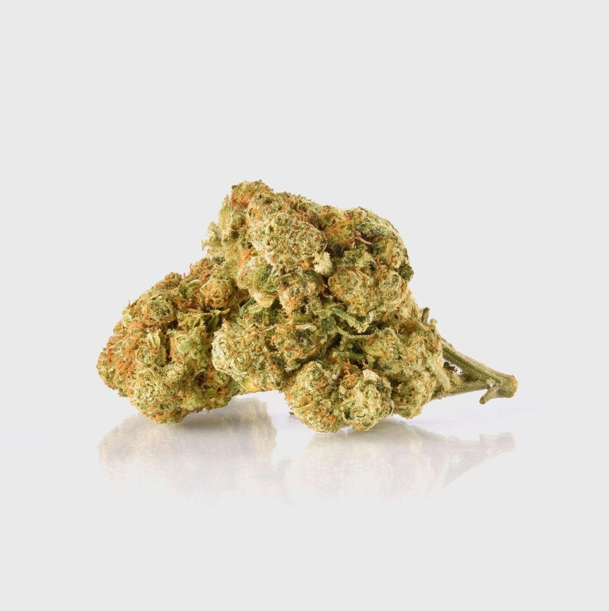 🔥 Amnesia Extreme Blüten 2g Glas - Hanfify