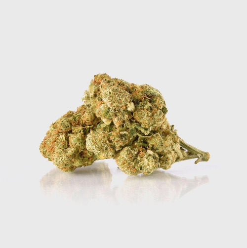 🔥 Amnesia Extreme Blüten 2g Glas - Hanfify