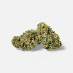 🇺🇸 Amnesia Haze 22% Cali CBD Blüten 3g Dose - Hanfify