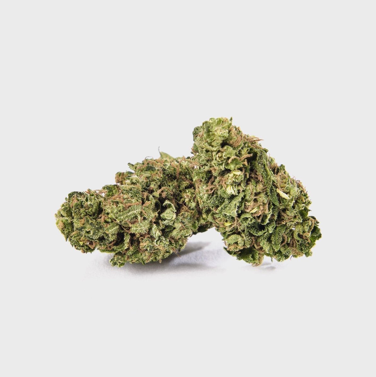 🇺🇸 Amnesia Haze 22% Cali CBD Blüten 3g Dose - Hanfify®