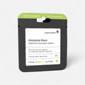 Amnesia Haze | Autoflowering Cannabissamen - Hanfify