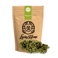 Amnesia Haze Ökopack - Blüten - Hanfify®