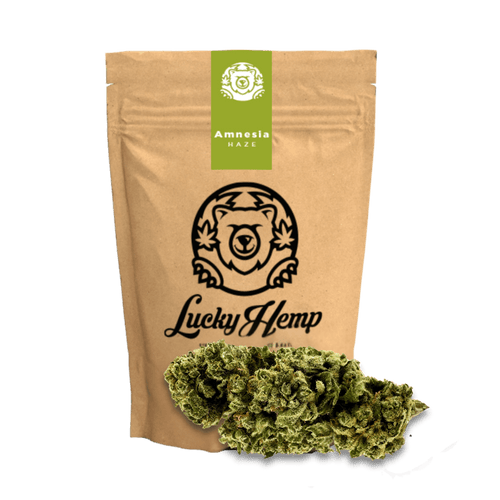 Amnesia Haze Ökopack - Blüten - Hanfify®