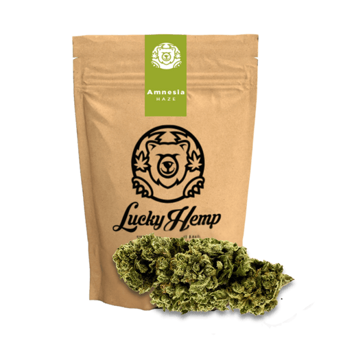 Amnesia Haze Ökopack Blüten 3g - Hanfify®