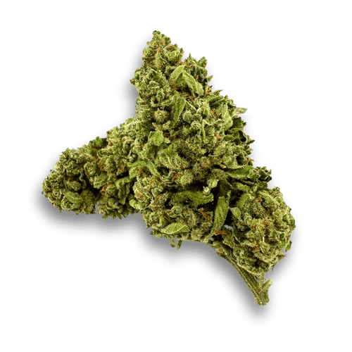 Amnesia Haze Ökopack Blüten 3g - Hanfify®