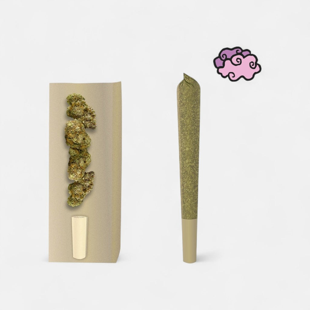 Amnesia Superior Prerolls - Power LVL 4/5 Joints 3er Pack - Hanfify