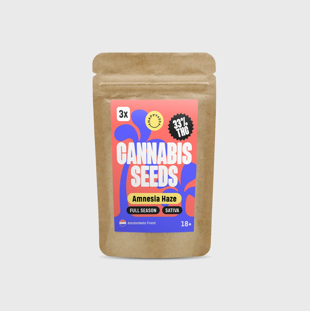 Amsterdams Finest Amnesia Haze 33% THC 🌱 full season Cannabissamen 3 Stück - Hanfify
