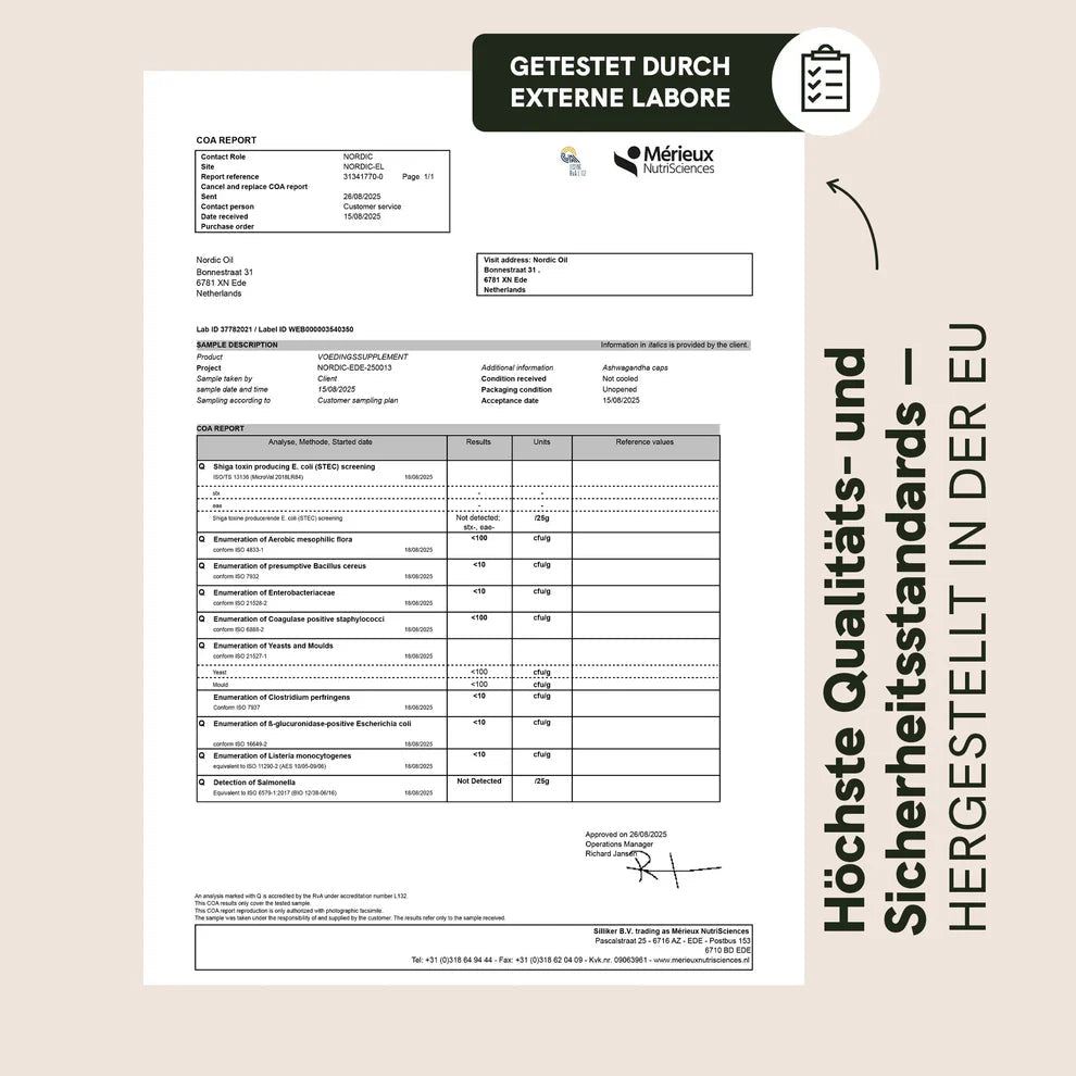 Ashwagandha Kapseln Supplements - Hanfify